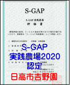 S-GAP実践農場２０２０に認定　日高市吉野園