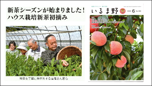 JAいるま野広報誌に吉野園が紹介